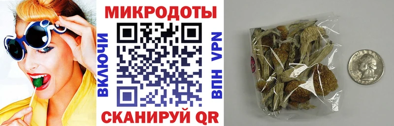 Псилоцибиновые грибы мицелий  где можно купить наркотик  Пенза 