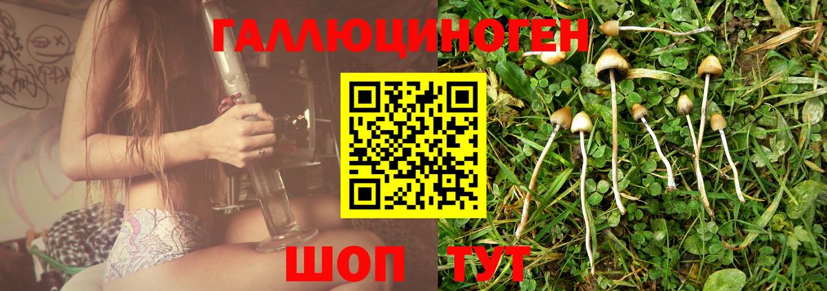 Гашиш Пенза
