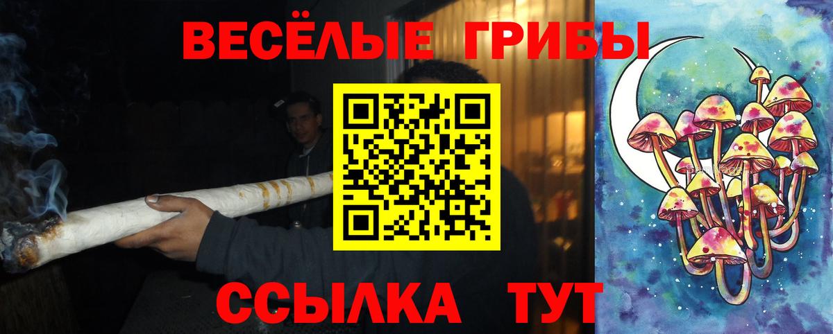Галлюциногенные грибы GOLDEN TEACHER  наркошоп  Пенза  Псилоцибиновые грибы Psilocybe  Вход с VPN 