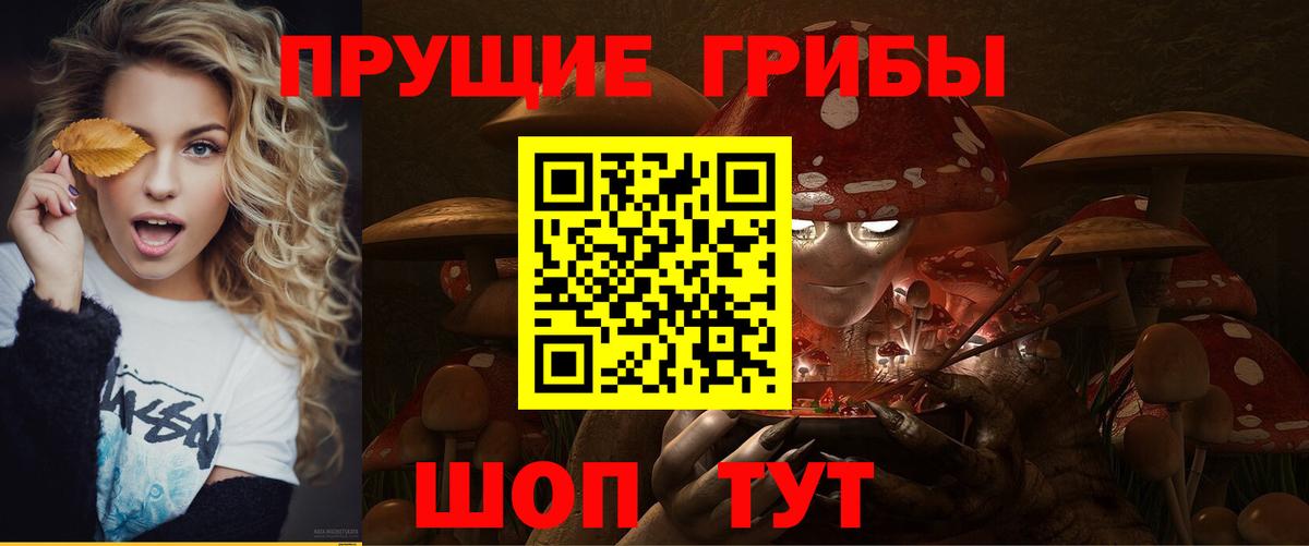 Галлюциногенные грибы Magic Shrooms  Пенза 