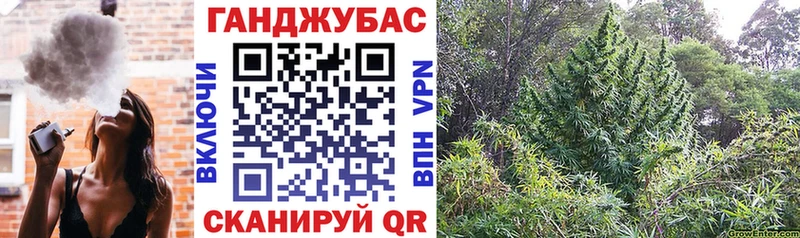 kraken tor  Пенза  Бошки Шишки VHQ 